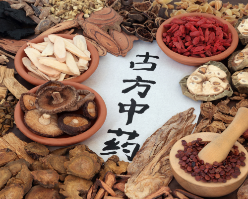 Shiitake, reishi a maitake – léčivé houby v TČM